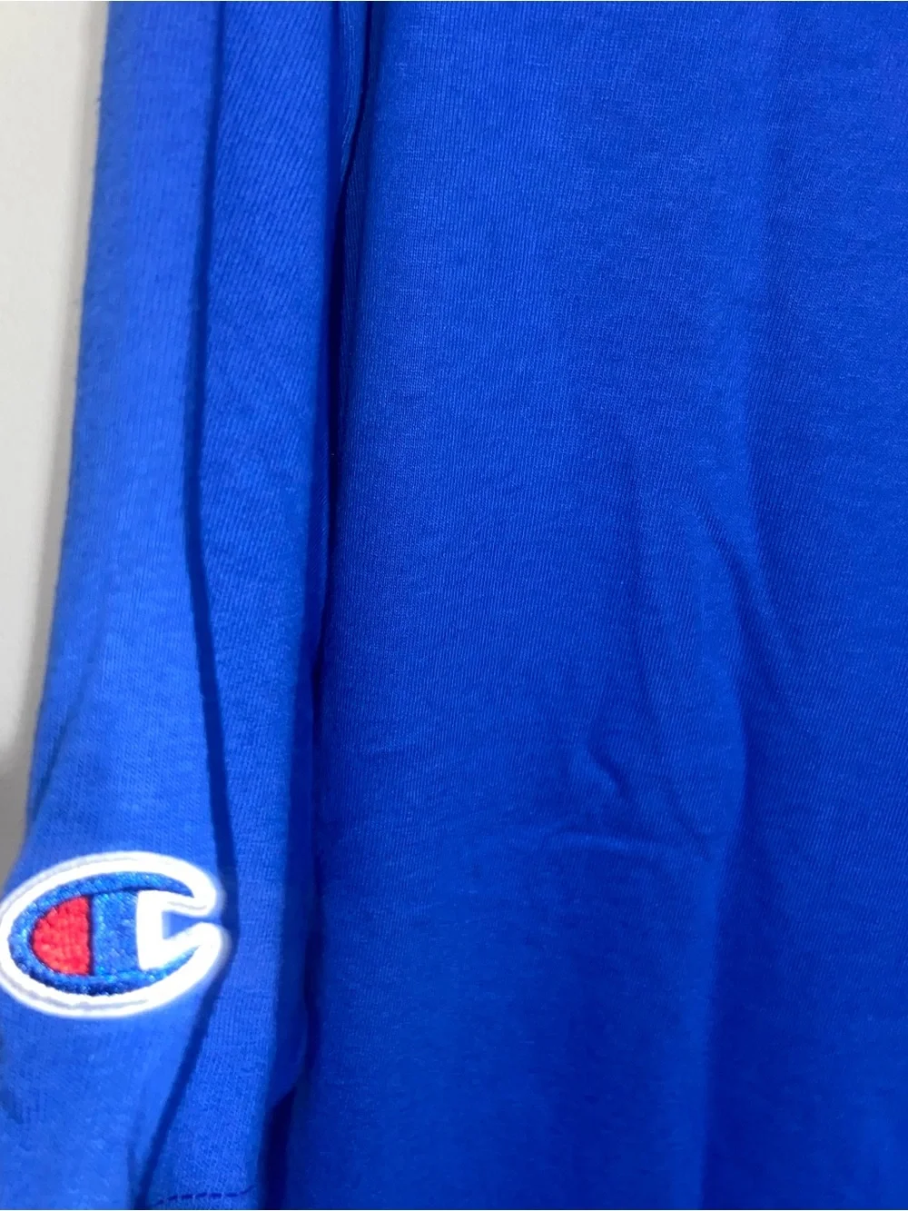 Champion Shirt Mens Large Florida Gulf Coast FGCU Eagles Blue Short Sleeve - Picture 9 of 12